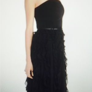Black Dress Long Like New!  WHBM size 12/14